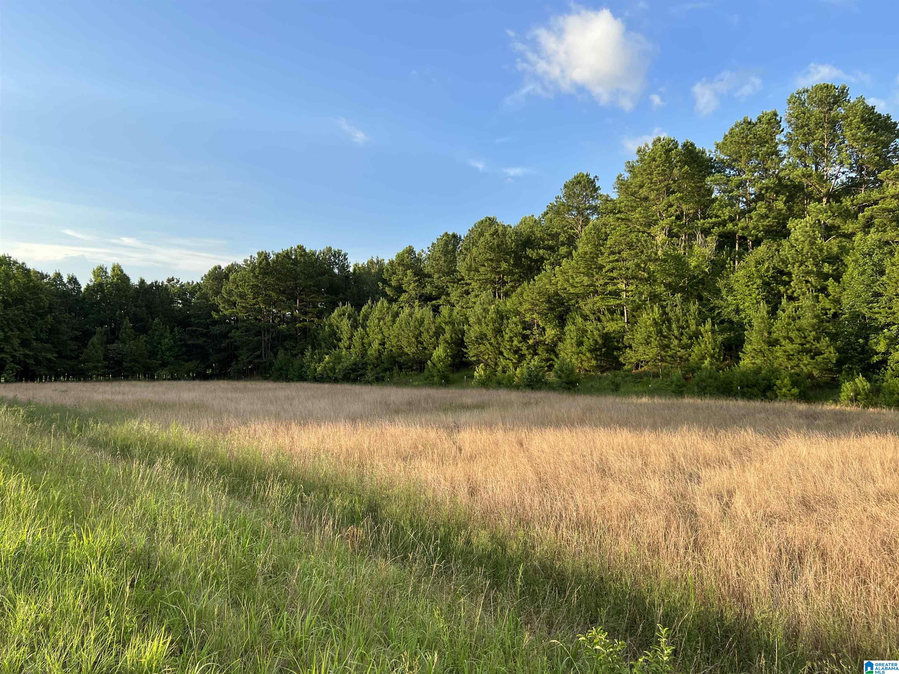 1515 Kelly Ranch Road, Unit 138 ACRES / Talladega, AL 35160 - Photo 14 of 42