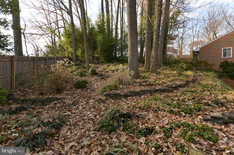 3751 30th Road North Arlington, VA 22207 - Photo 25 of 30 Exterior (General)
