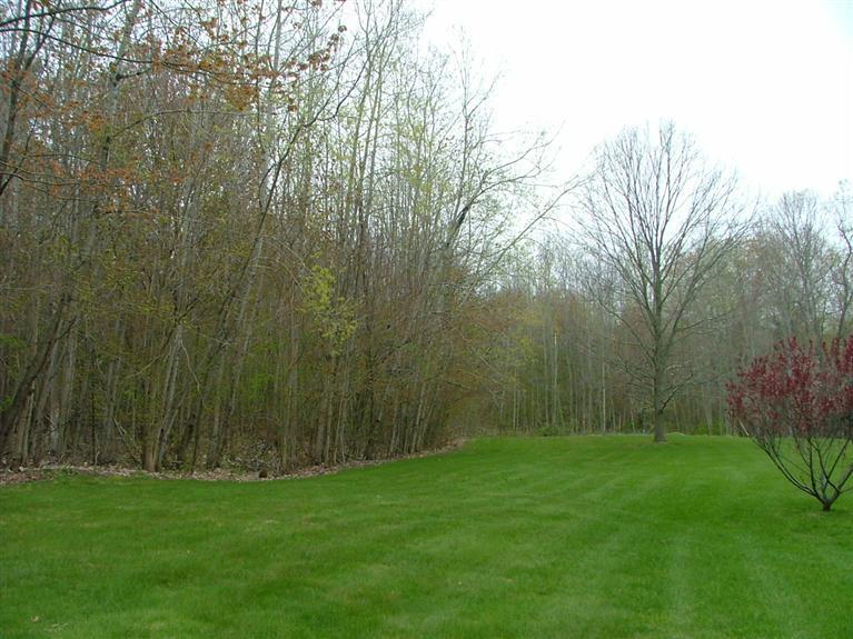 5125 Schoedel Road Manistee, MI 49660 - Photo 2 of 24 Additional Photo