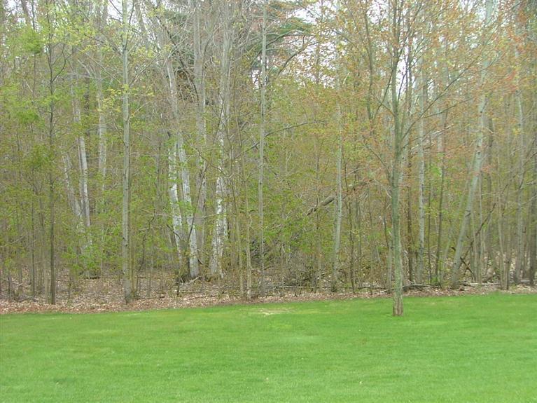 5125 Schoedel Road Manistee, MI 49660 - Photo 22 of 24 Additional Photo