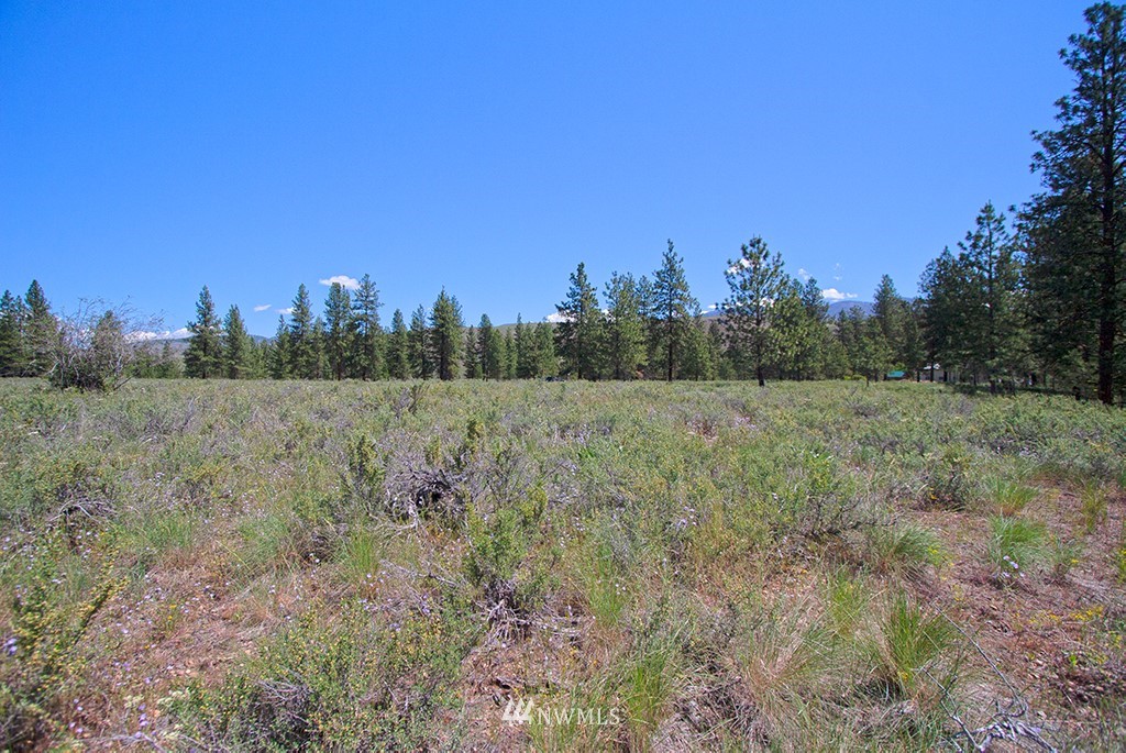 102 Horizon Flat Road Winthrop, WA 98862 - Photo 14 of 14 Gallery Image 14