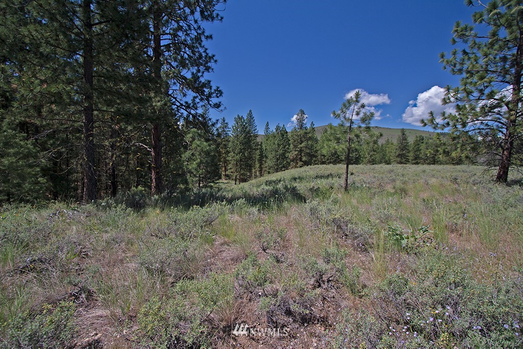 102 Horizon Flat Road Winthrop, WA 98862 - Photo 4 of 14 Gallery Image 4