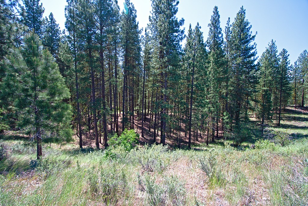 102 Horizon Flat Road Winthrop, WA 98862 - Photo 8 of 14 Gallery Image 8