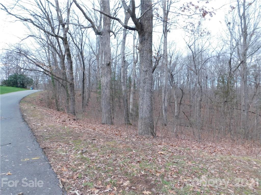 0 Saddletree Road Lincolnton, NC 28092 - Photo 2 of 4 a view of a yard with large trees
