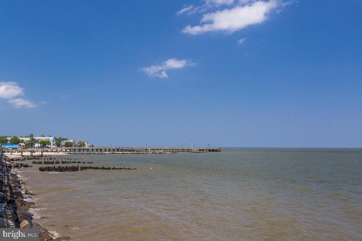 Chesapeake Bay 5 minutes down the street !!