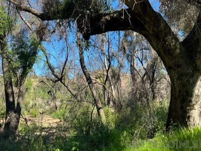 $636,000 | Bunny Drive, Unit SEC, Jamul, CA 91935