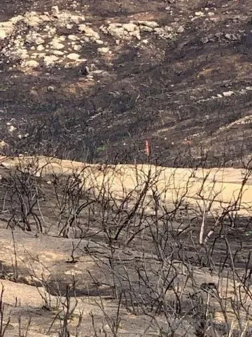 $636,000 | Bunny Drive, Unit SEC, Jamul, CA 91935