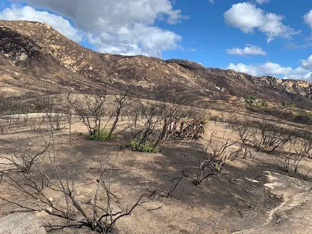 $636,000 | Bunny Drive, Unit SEC, Jamul, CA 91935