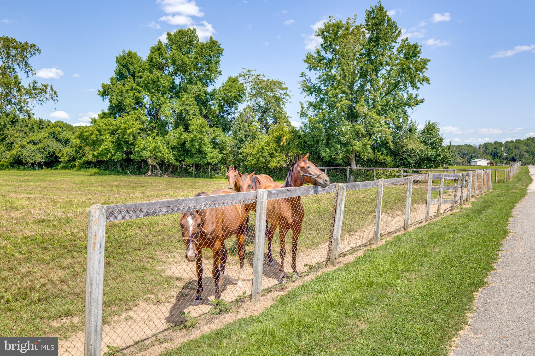 199 Bordentown Georgetown Road Chesterfield, NJ 08515 - Photo 44 of 47 a view of a lake with a garden