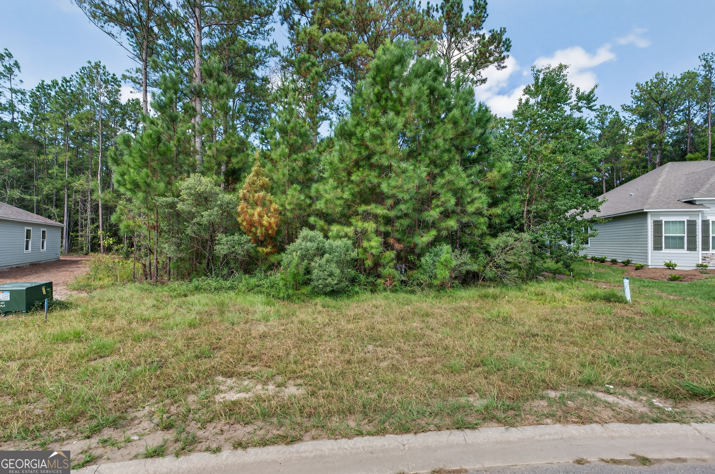 635 Breakwater Loop Kingsland, GA 31548 - Photo 8 of 26 a house view with a backyard space