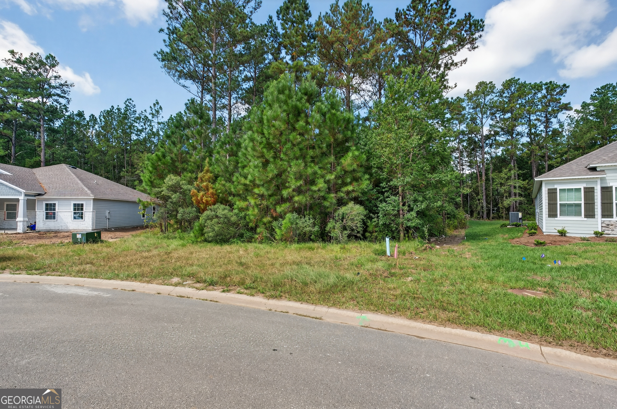 635 Breakwater Loop Kingsland, GA 31548 - Photo 9 of 26 a view of a house with a yard and large trees