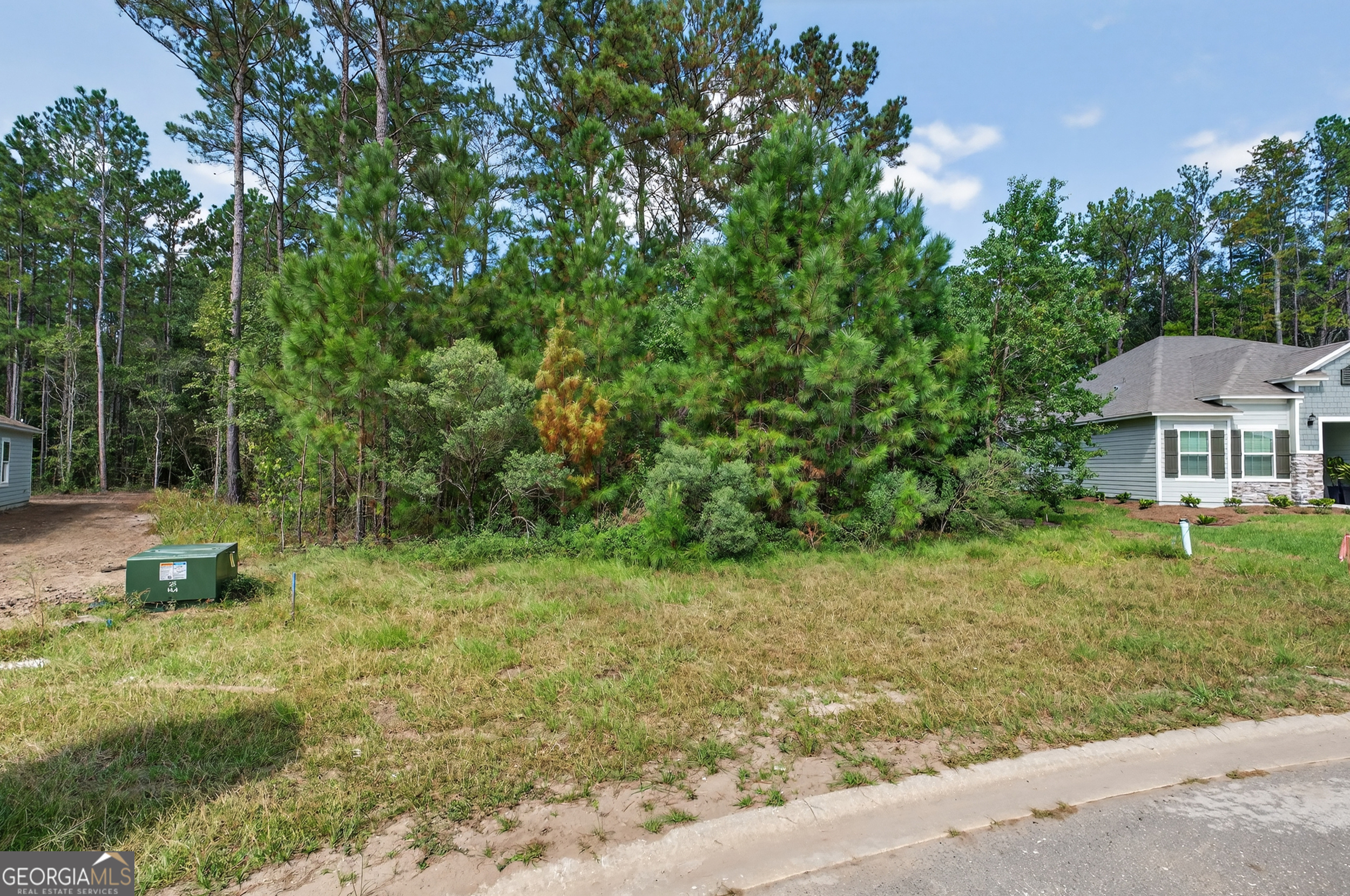 635 Breakwater Loop Kingsland, GA 31548 - Photo 10 of 26 a backyard of a house with lots of green space