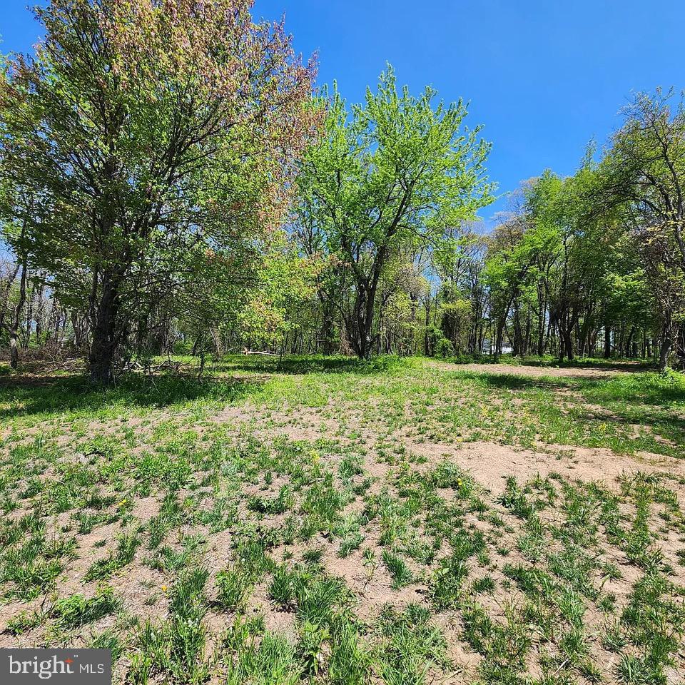 1 Snydersburg Road Westminster, MD 21157 - Photo 13 of 14 a view of a park with large trees