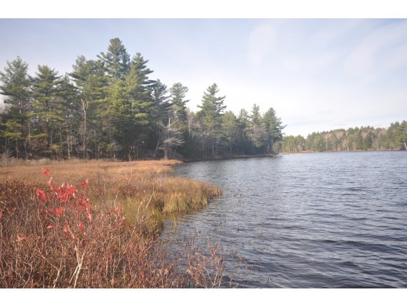 565 Forest Acres Road New London, NH 03257 - Photo 12 of 12