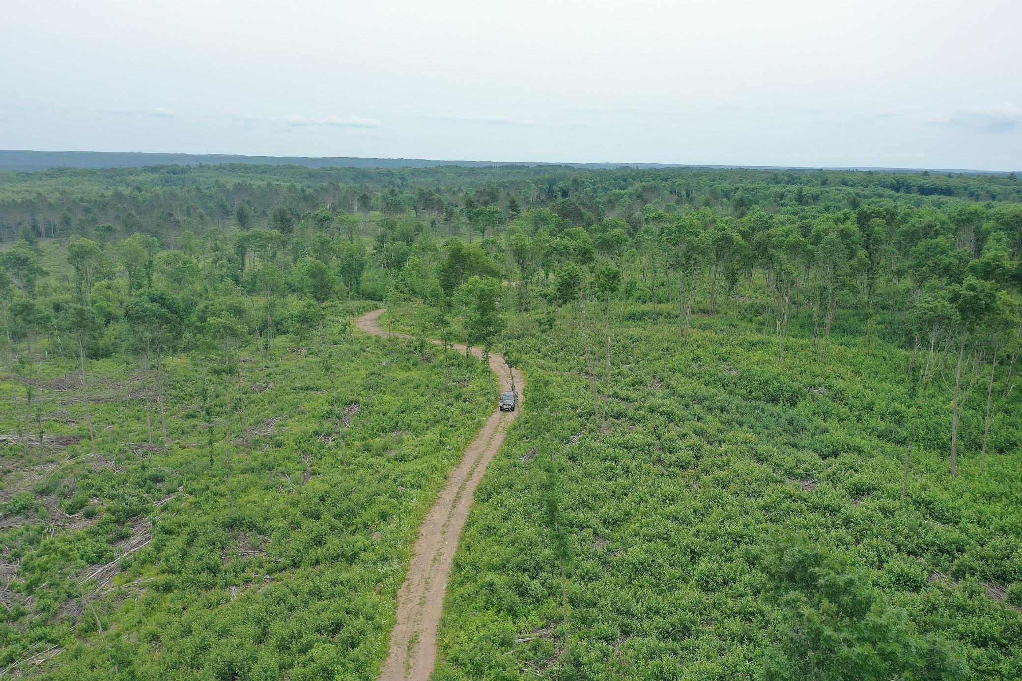 Tbd North Larsen Road Hayward, WI 54843 - Photo 19 of 33