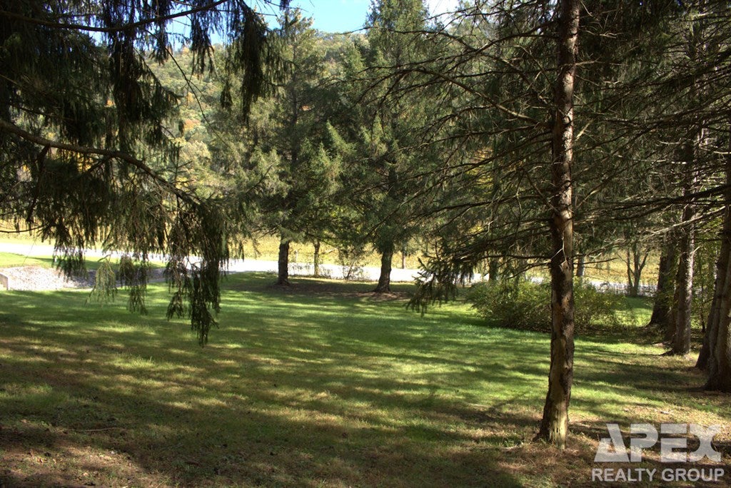 11678.2 Standing Stone Road Huntingdon, PA 16652 - Photo 2 of 5 Gallery Image 2
