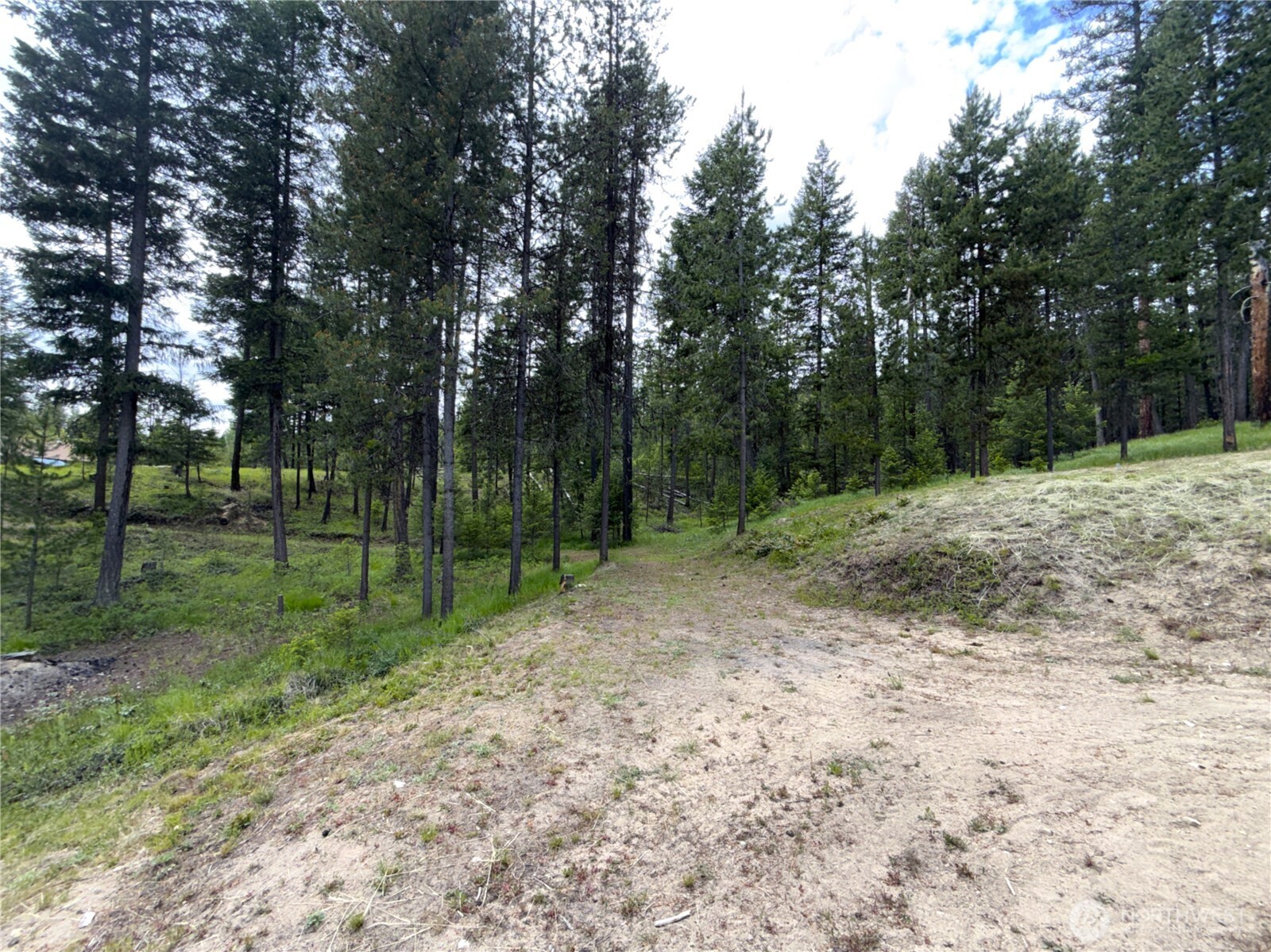 2 Hazel Lane Republic, WA 99166 - Photo 25 of 33