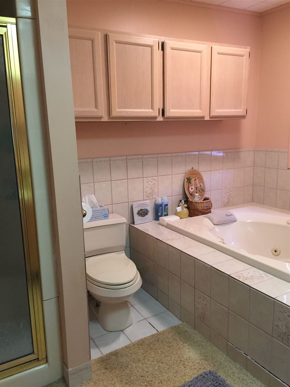9140 South Lucas Road McBain, MI 49657 - Photo 25 of 78 1853358-24.JPG
