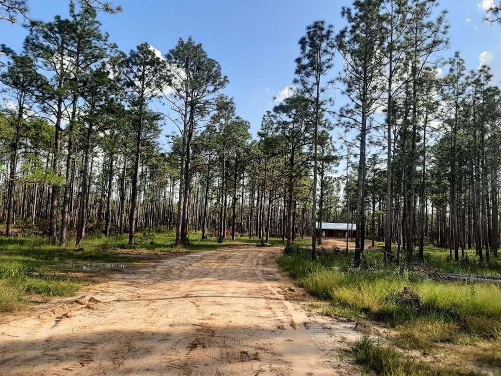 552 Burma Road Reeves, LA 70658 - Photo 2 of 5