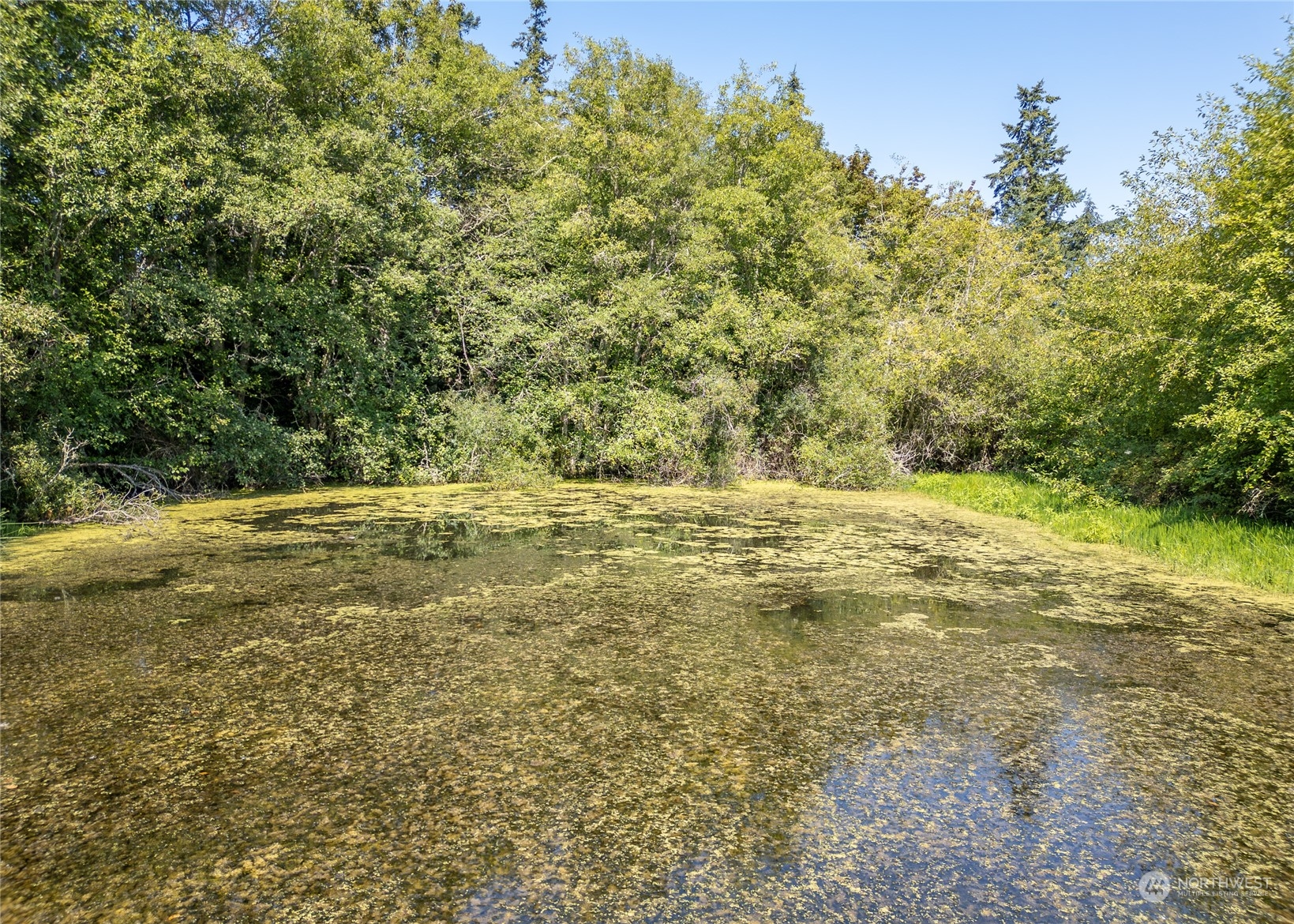 391 Streamside Drive Sequim, WA 98382 - Photo 11 of 37 Gallery Image 11
