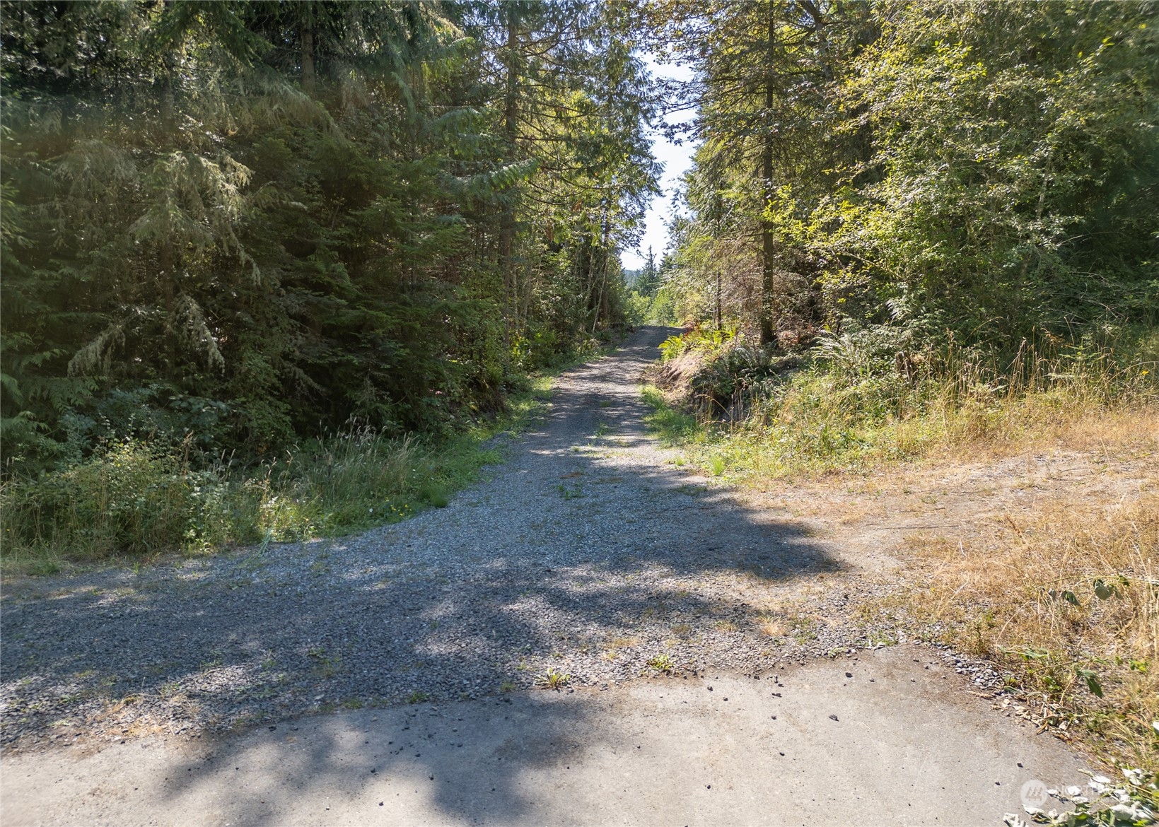 391 Streamside Drive Sequim, WA 98382 - Photo 16 of 37 Gallery Image 16