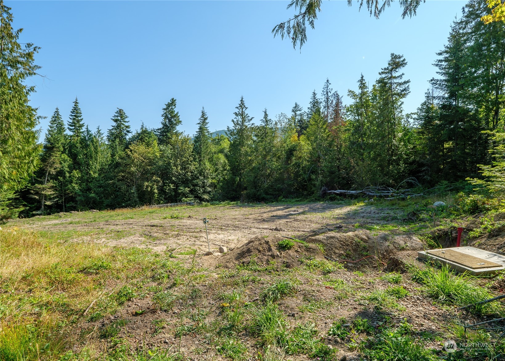 391 Streamside Drive Sequim, WA 98382 - Photo 9 of 37 Gallery Image 9