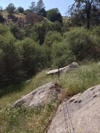 a view of a city with lush green forest