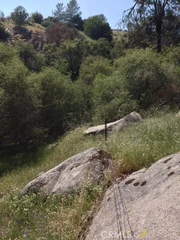 a view of a city with lush green forest