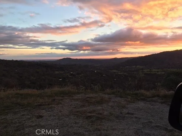 a view of a yard with trees