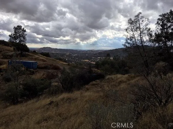 a view of a dry yard with lots of green space