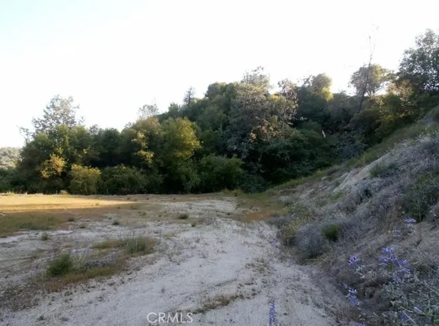 a view of mountain and field