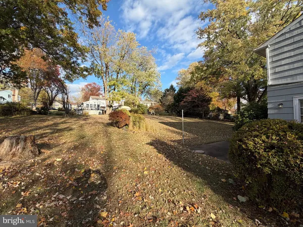 a view of yard with tree s