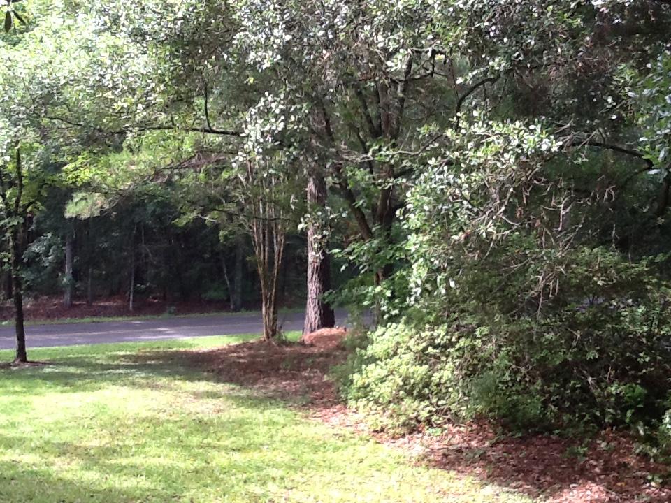 3032 State Rd S-10-1156 Johns Island, SC 29455 - Photo 18 of 18 plowground rd yard(1)
