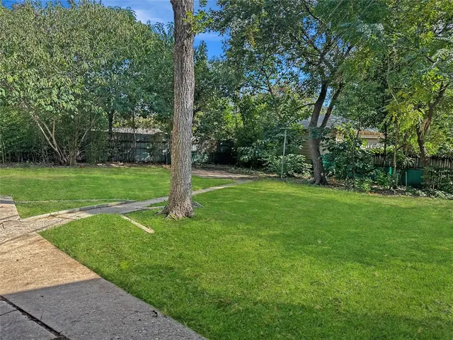 a view of a park with a tree in the background