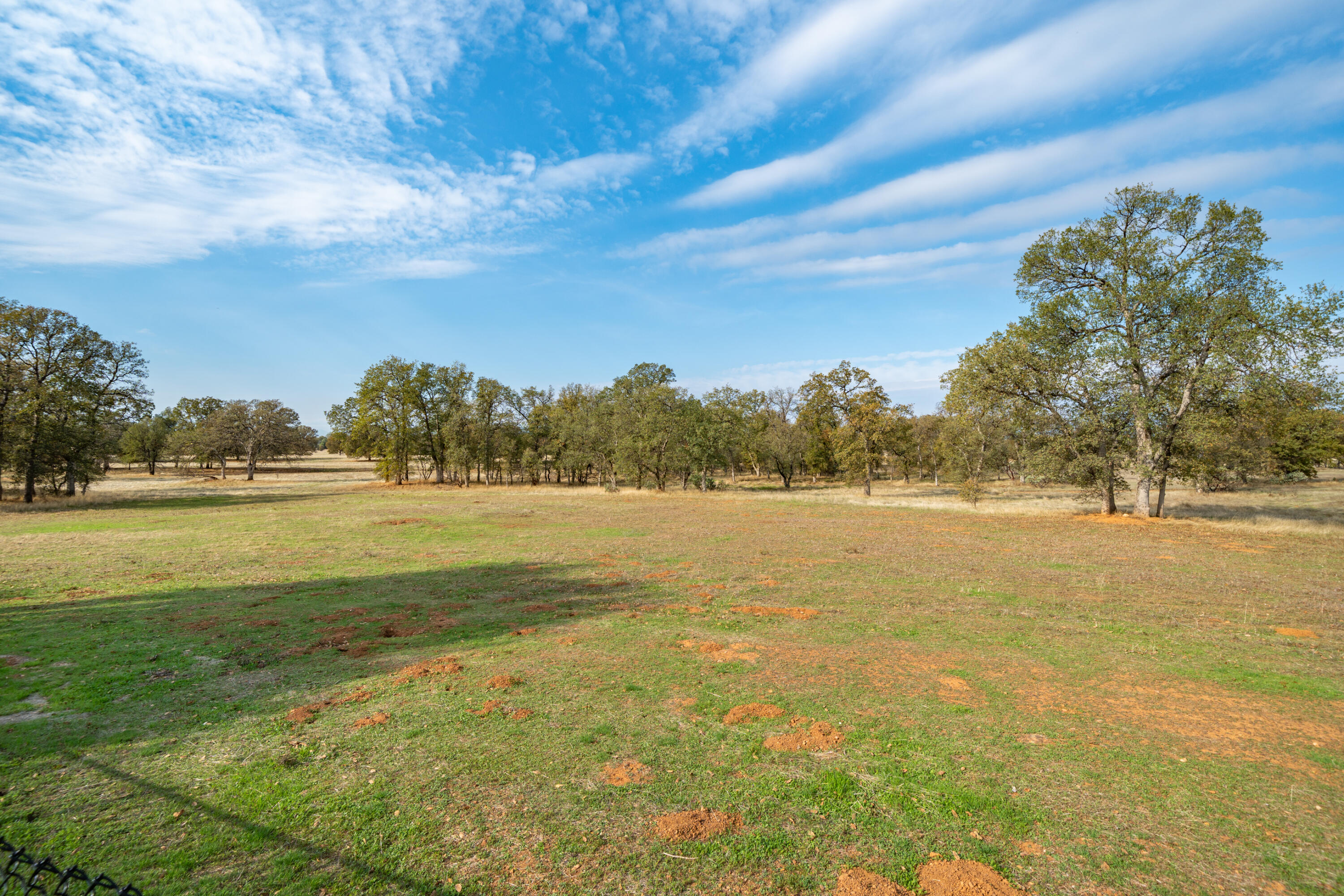8180 Whispering Oaks Road Redding, CA 96002 - Photo 90 of 100 OPEN FIELDS