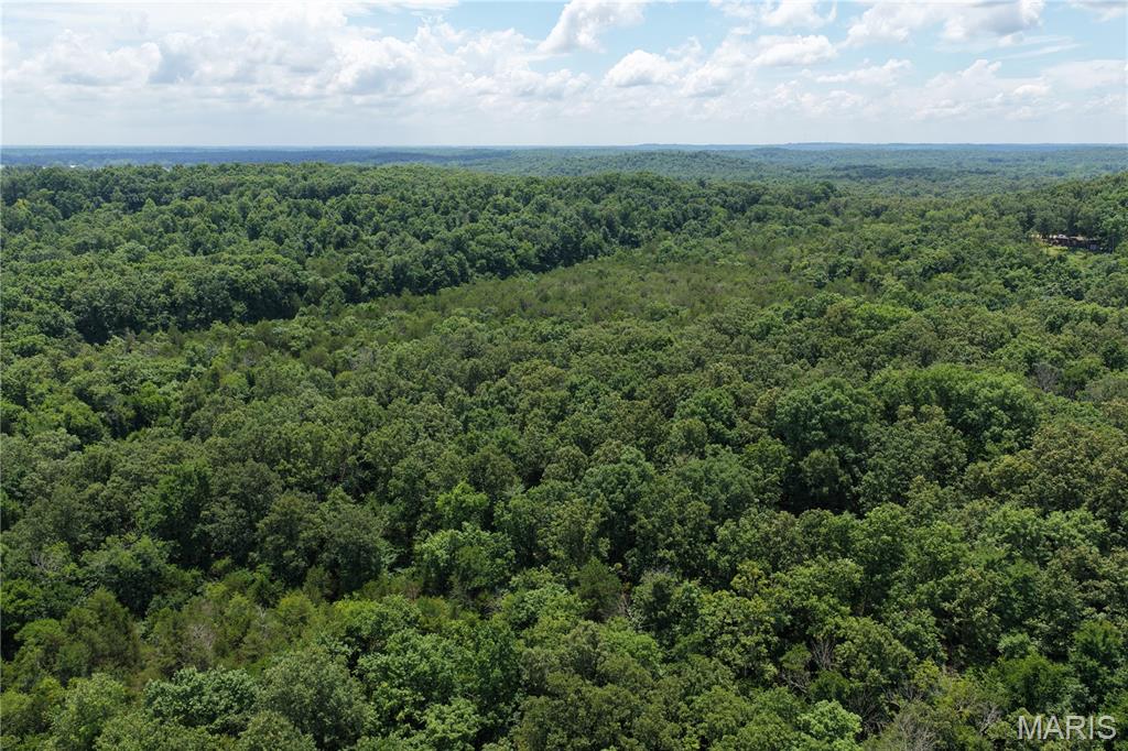 Tbd Fairview Road Imboden, AR 72434 - Photo 4 of 24