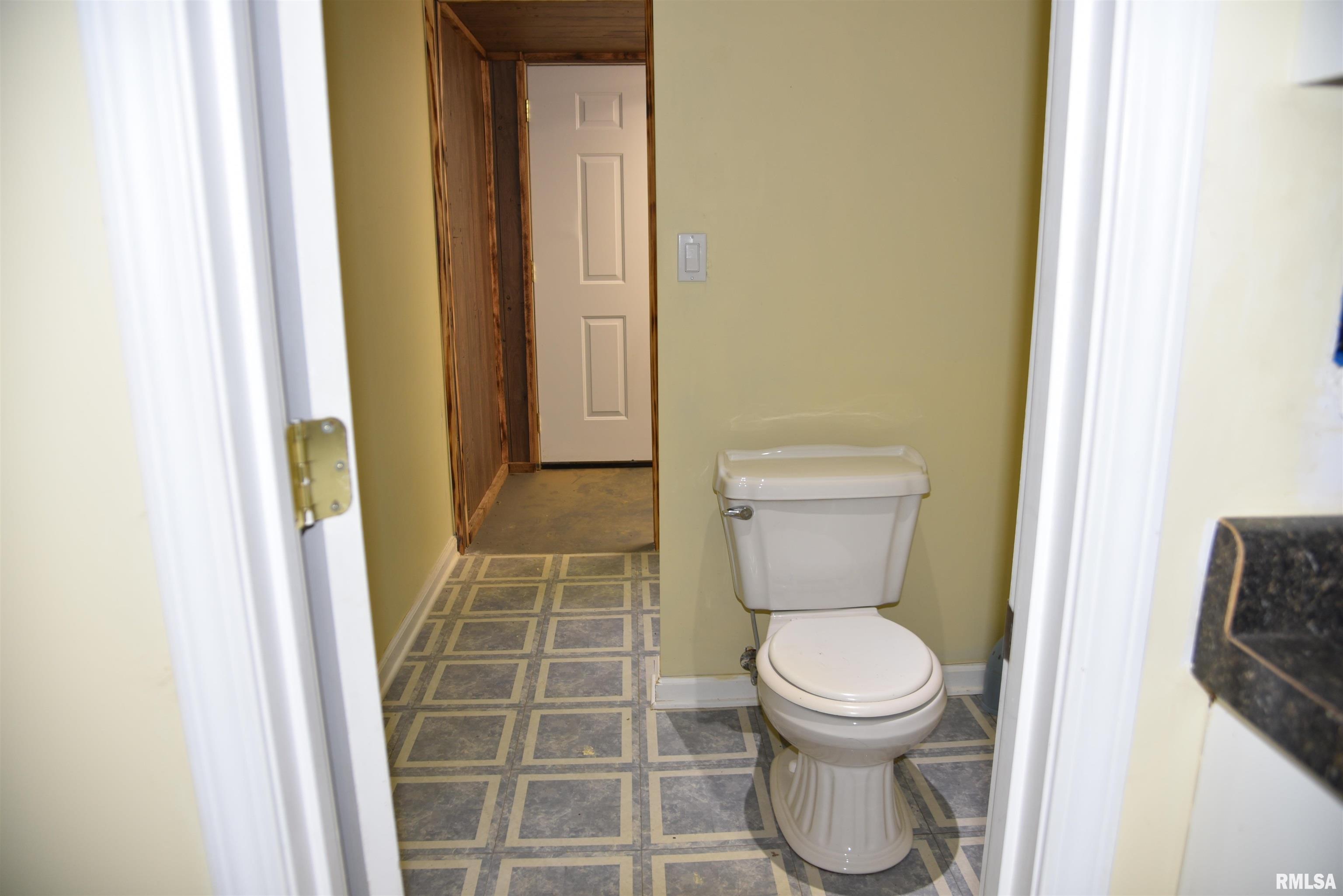 1505 Dutchman Lake Road Vienna, IL 62995 - Photo 28 of 59
