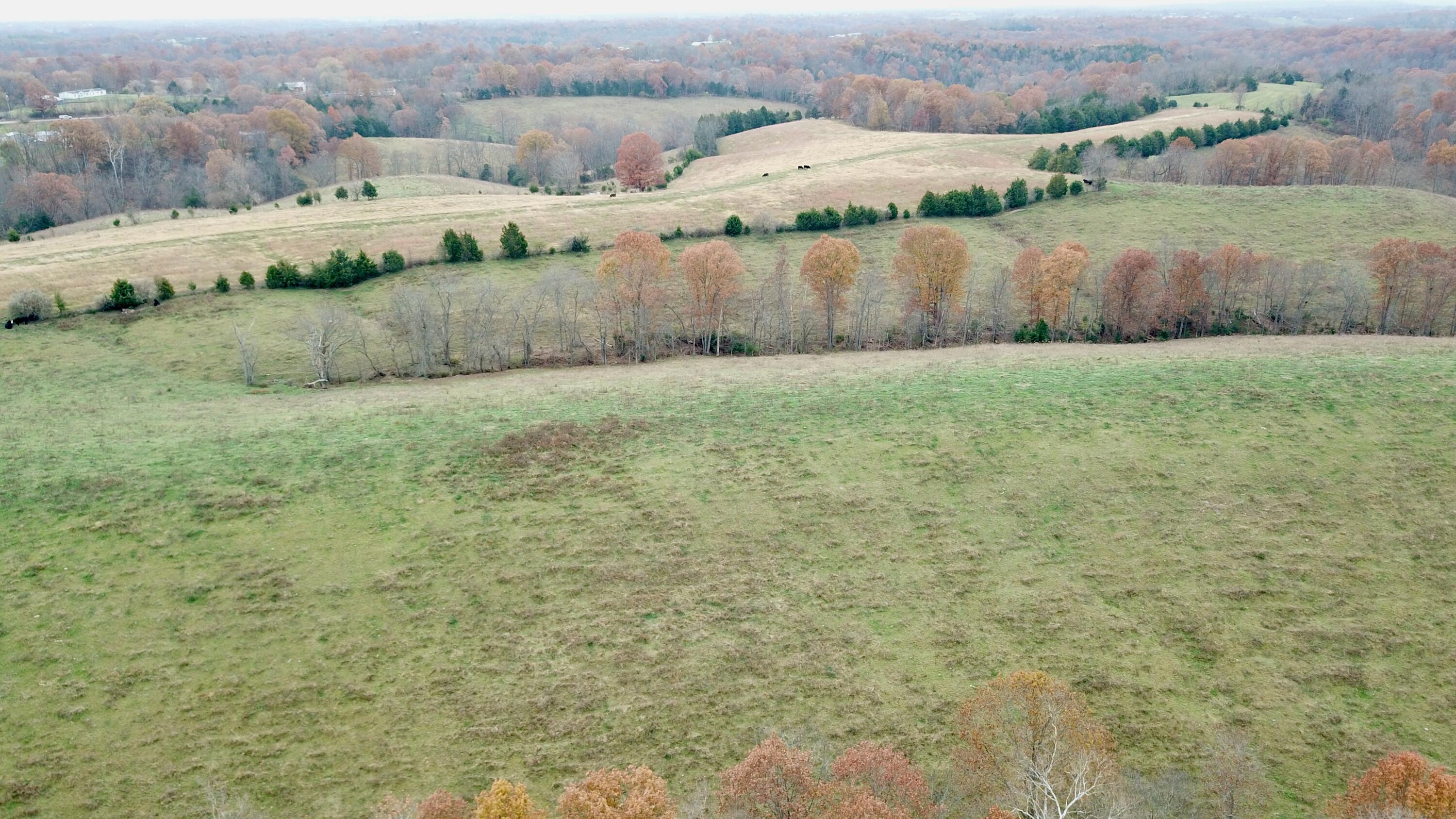 0 Gratz Road Owenton, KY 40359 - Photo 40 of 40