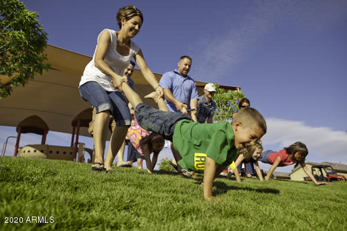 8677 South 165th Avenue Goodyear, AZ 85338 - Photo 32 of 45 Recreation - Community Park Shot