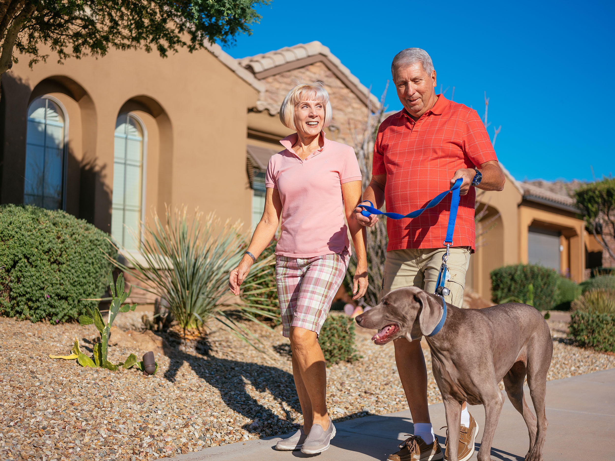 8677 South 165th Avenue Goodyear, AZ 85338 - Photo 42 of 45 Street Scene 2