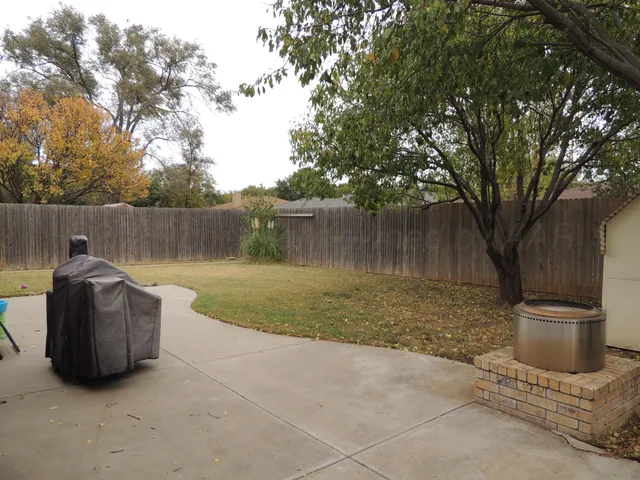 a couch and trees in the back yard