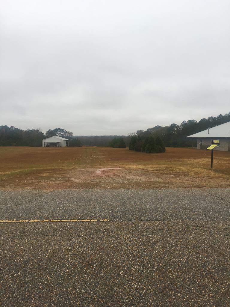 0 Avon Road Ashford, AL 36312 - Photo 2 of 4