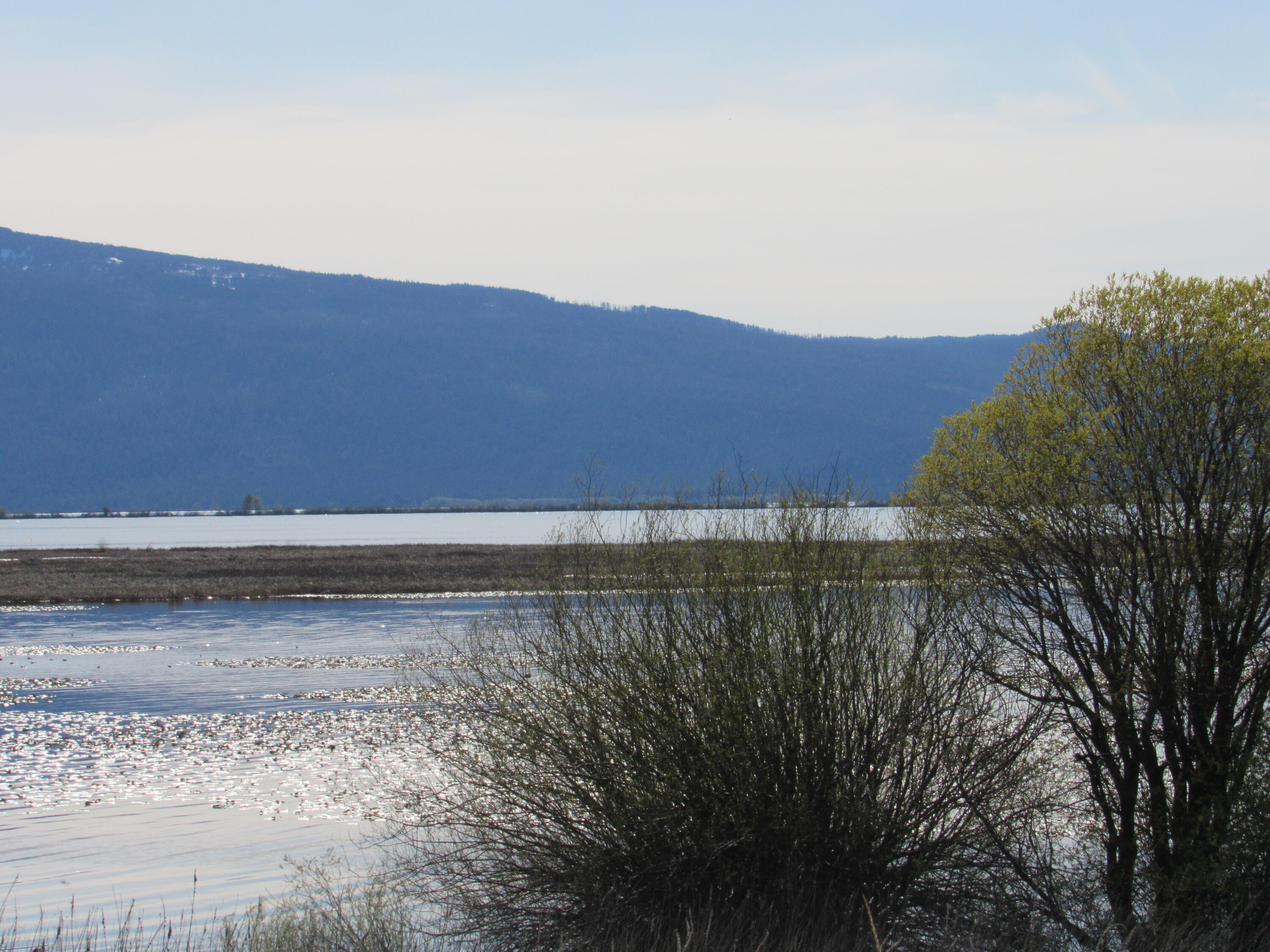 0 Modoc Point Road Chiloquin, OR 97624 - Photo 2 of 6