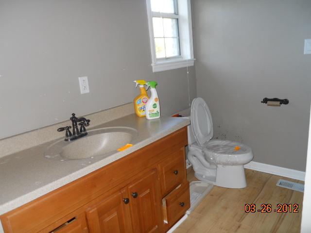 7362 Crow Cut Road Fairview, TN 37062 - Photo 8 of 10 MASTER BATH