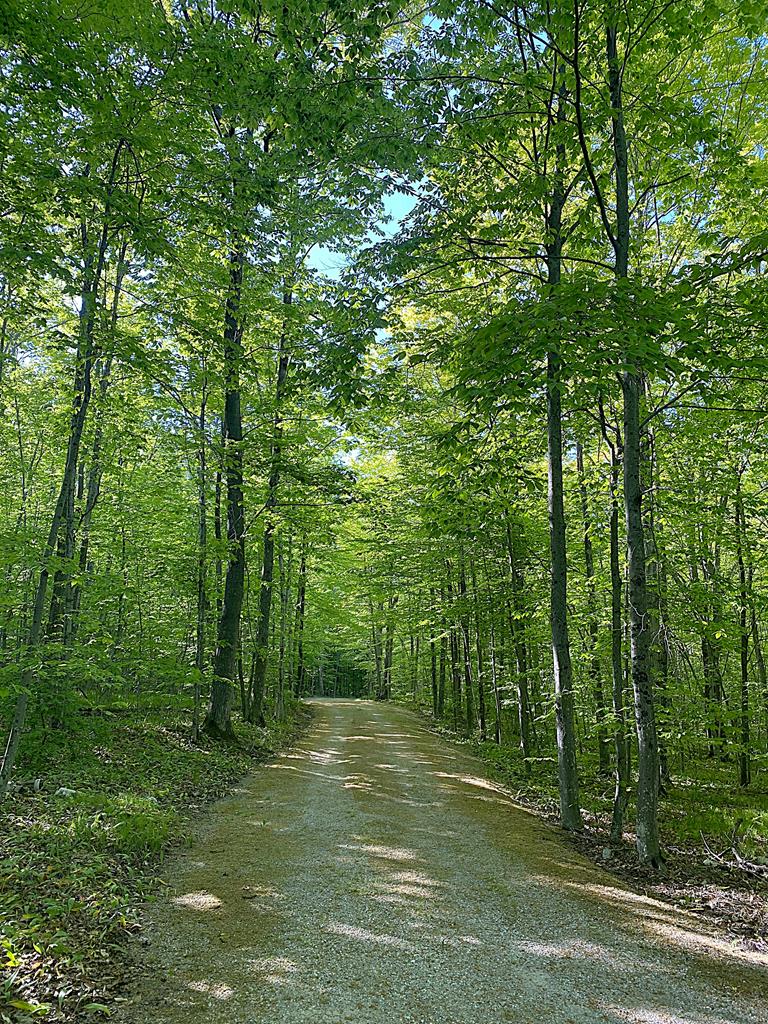 Tbd Garrett Bay Road Ellison Bay, WI 54210 - Photo 15 of 16