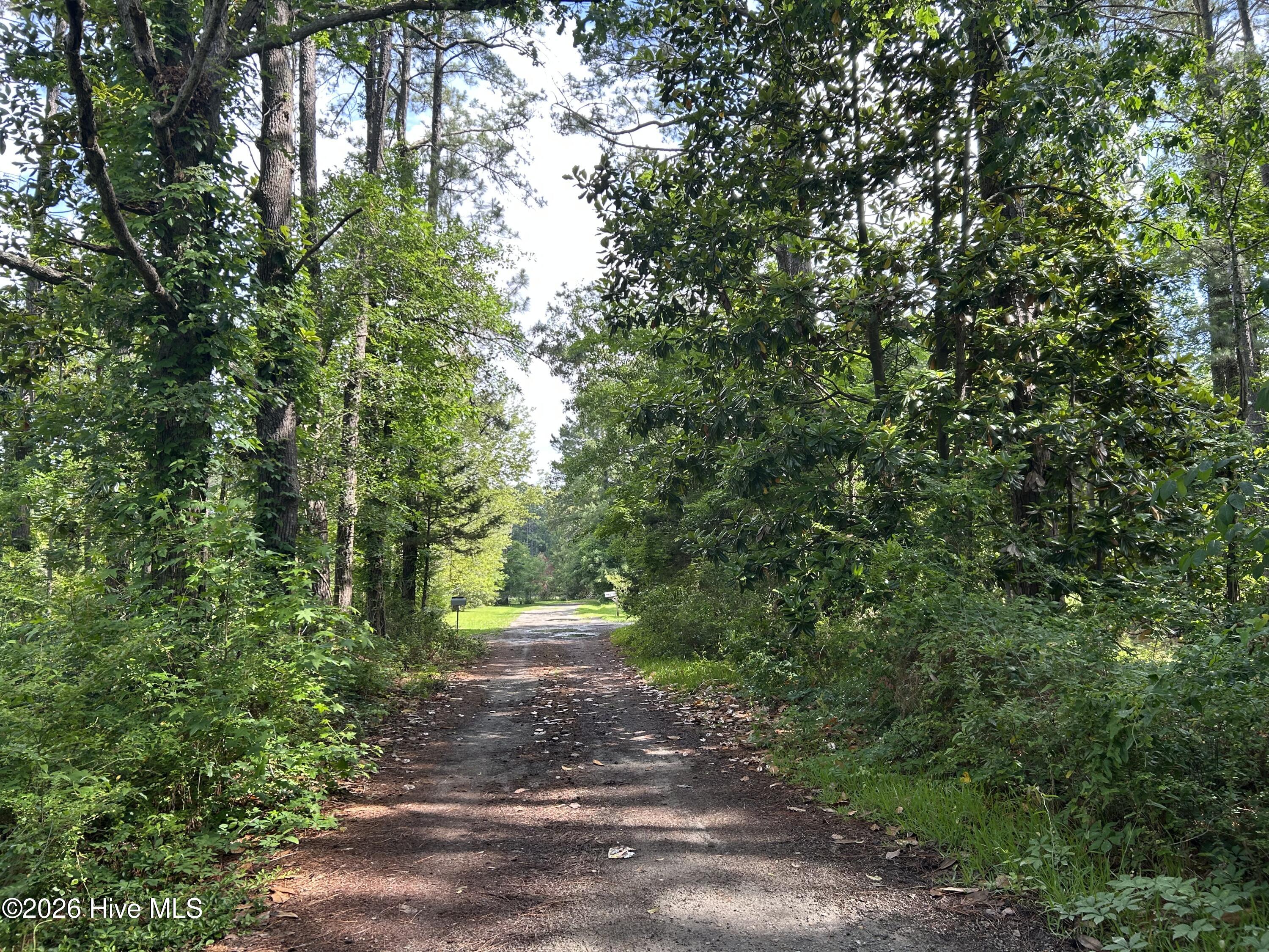 142 High Bluff Trail Hubert, NC 28539 - Photo 2 of 9 IMG_4869
