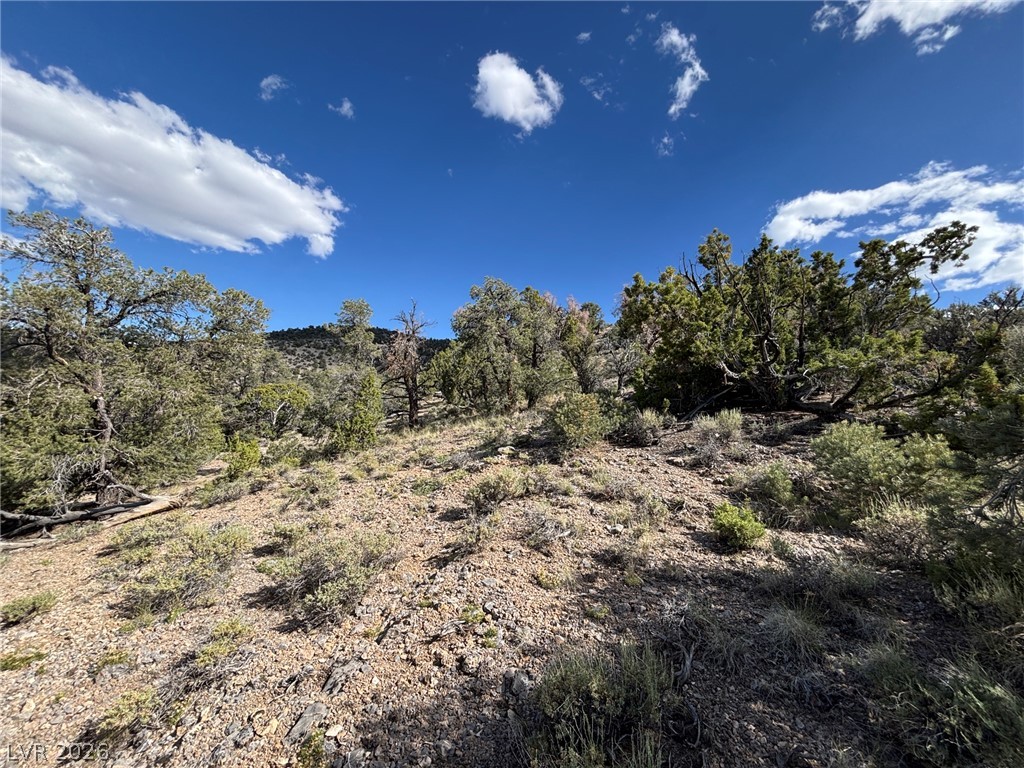 Off Of Lackawana Road Ely, NV 89301 - Photo 2 of 13 A sprawling lot covered in natural foliage under a vast, open sky.