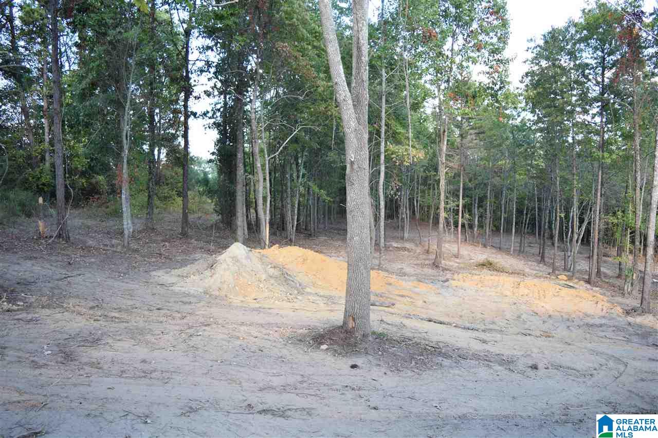 238 Tyler Road Remlap, AL 35133 - Photo 3 of 31