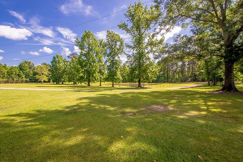 55073 Saragusa Road Independence, LA 70443 - Photo 13 of 25 Gallery Image 13