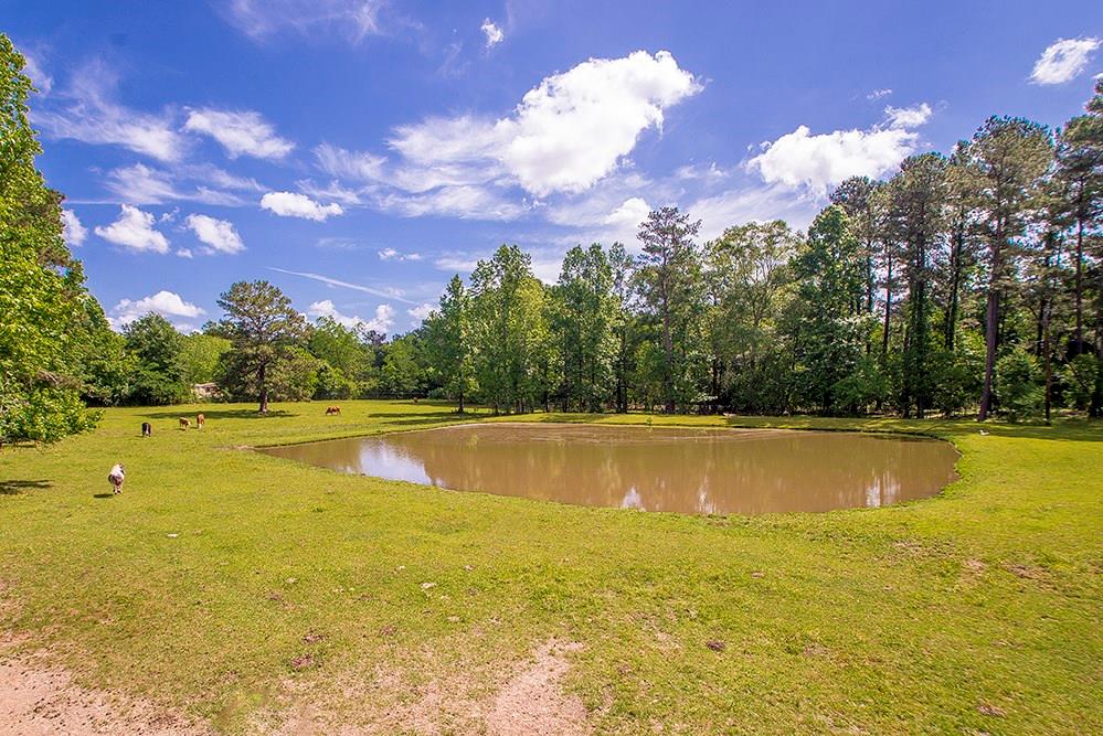 55073 Saragusa Road Independence, LA 70443 - Photo 3 of 25 Gallery Image 3